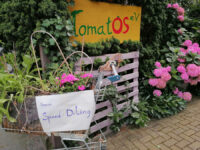 Queeres Speed-Dating bei TomatOS e. V.